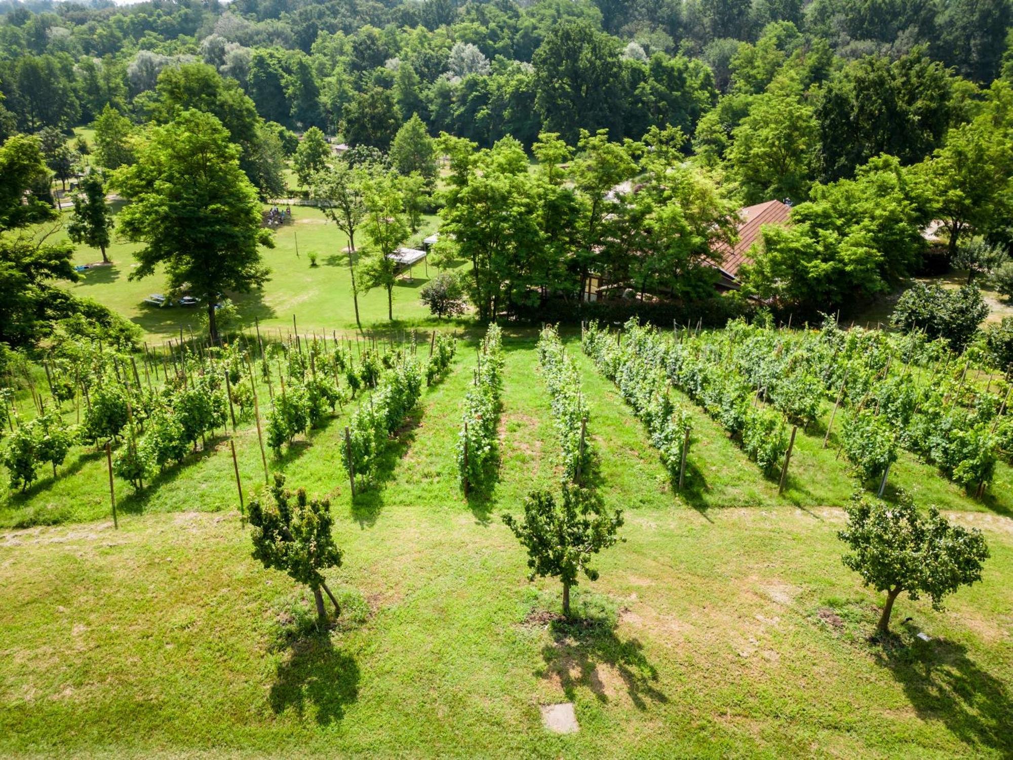 Agriturismo Parco Campofelice Lombardore Exteriér fotografie