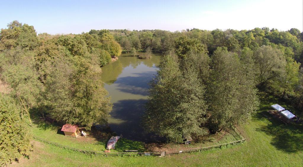 Agriturismo Parco Campofelice Lombardore Exteriér fotografie